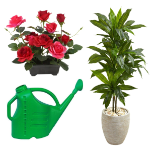 Flowers, Plants & Supplies